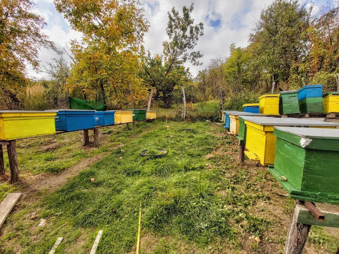 Pensiunea Agroturistica Piscul Soarelui Campulung Exterior photo