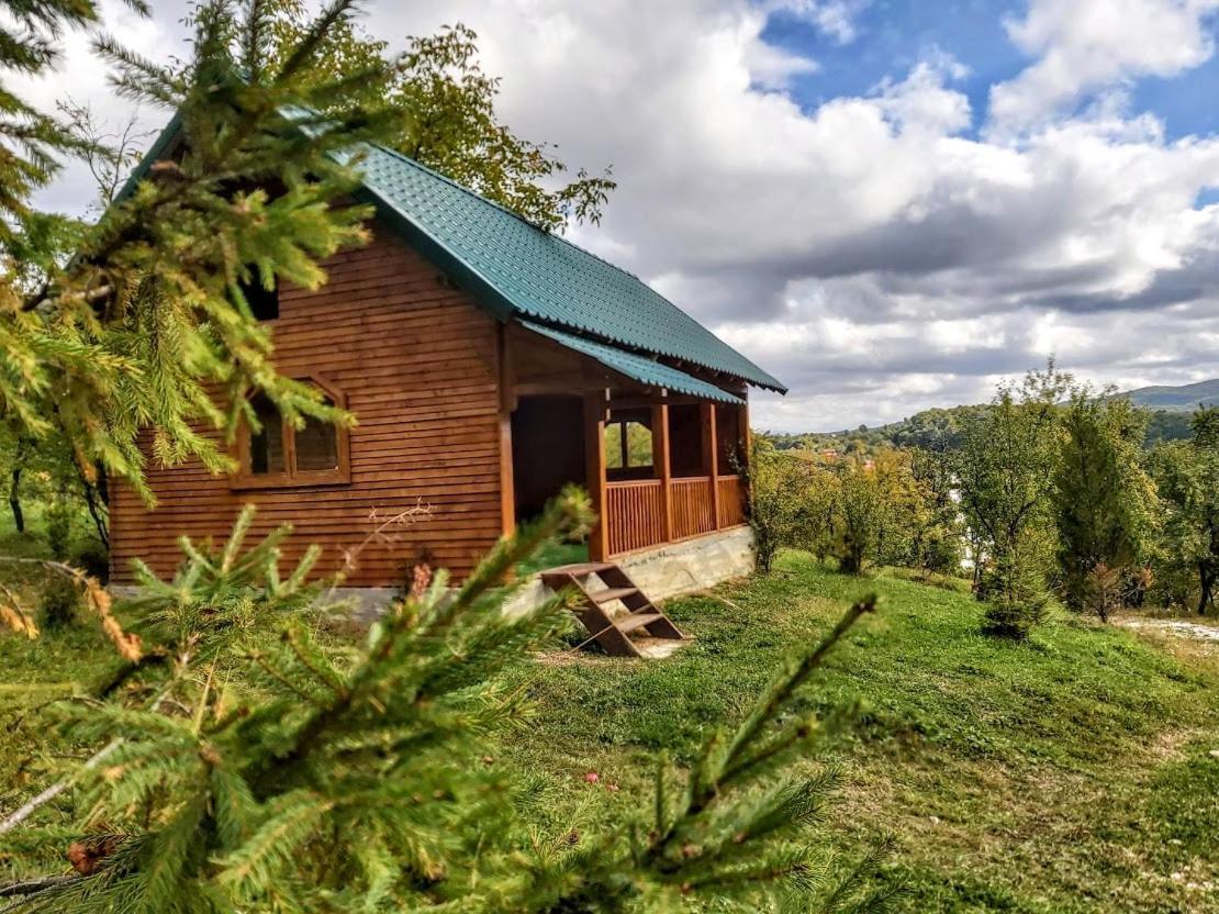 Pensiunea Agroturistica Piscul Soarelui Campulung Exterior photo
