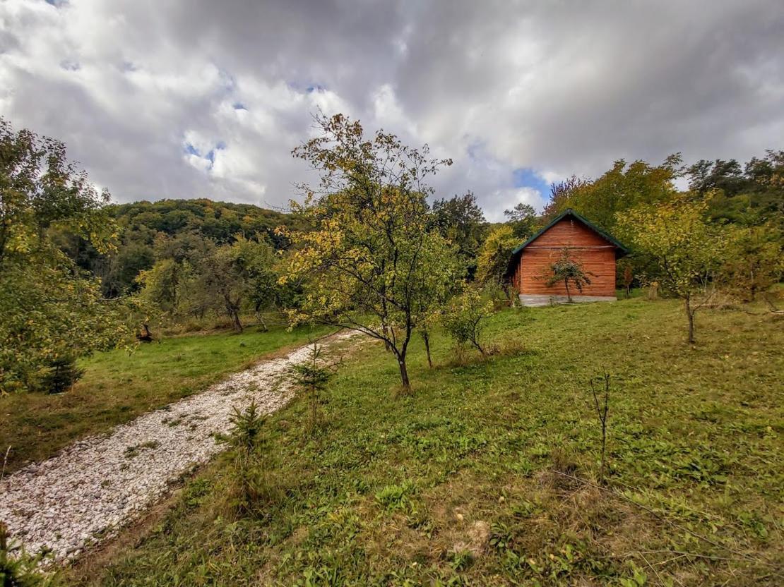 Pensiunea Agroturistica Piscul Soarelui Campulung Exterior photo