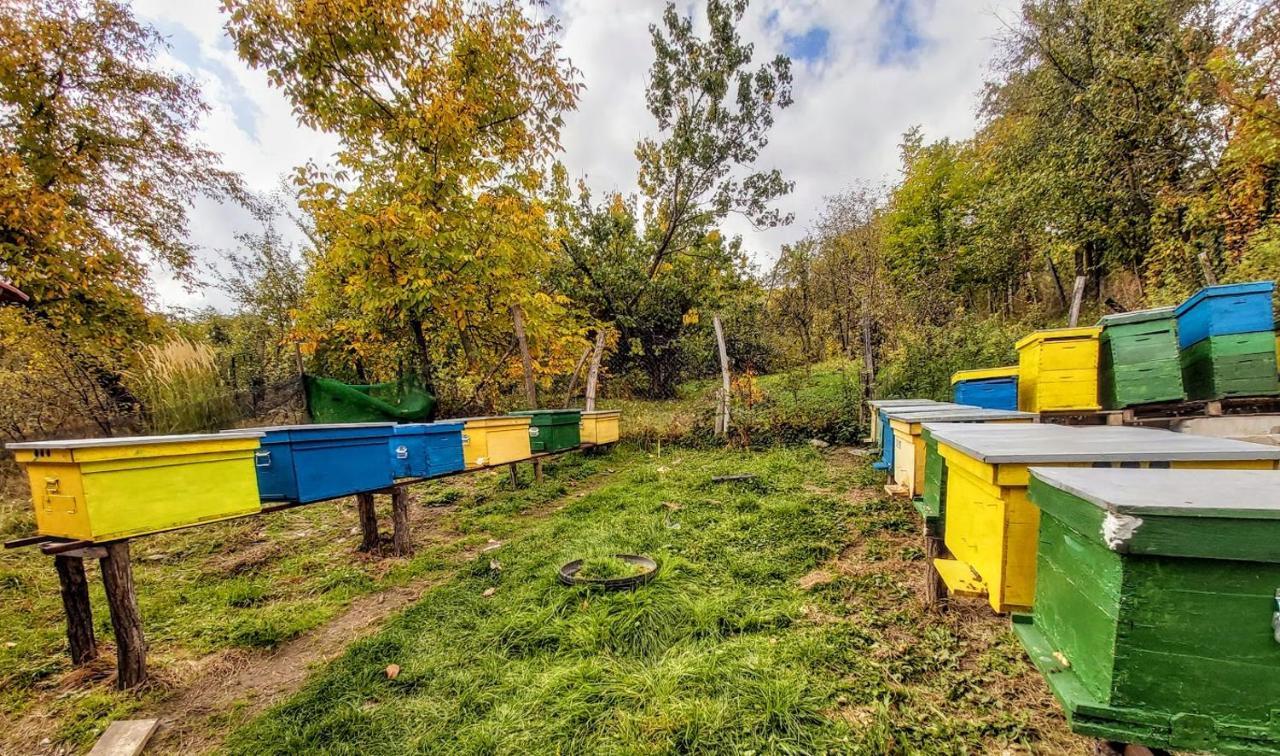 Pensiunea Agroturistica Piscul Soarelui Campulung Exterior photo