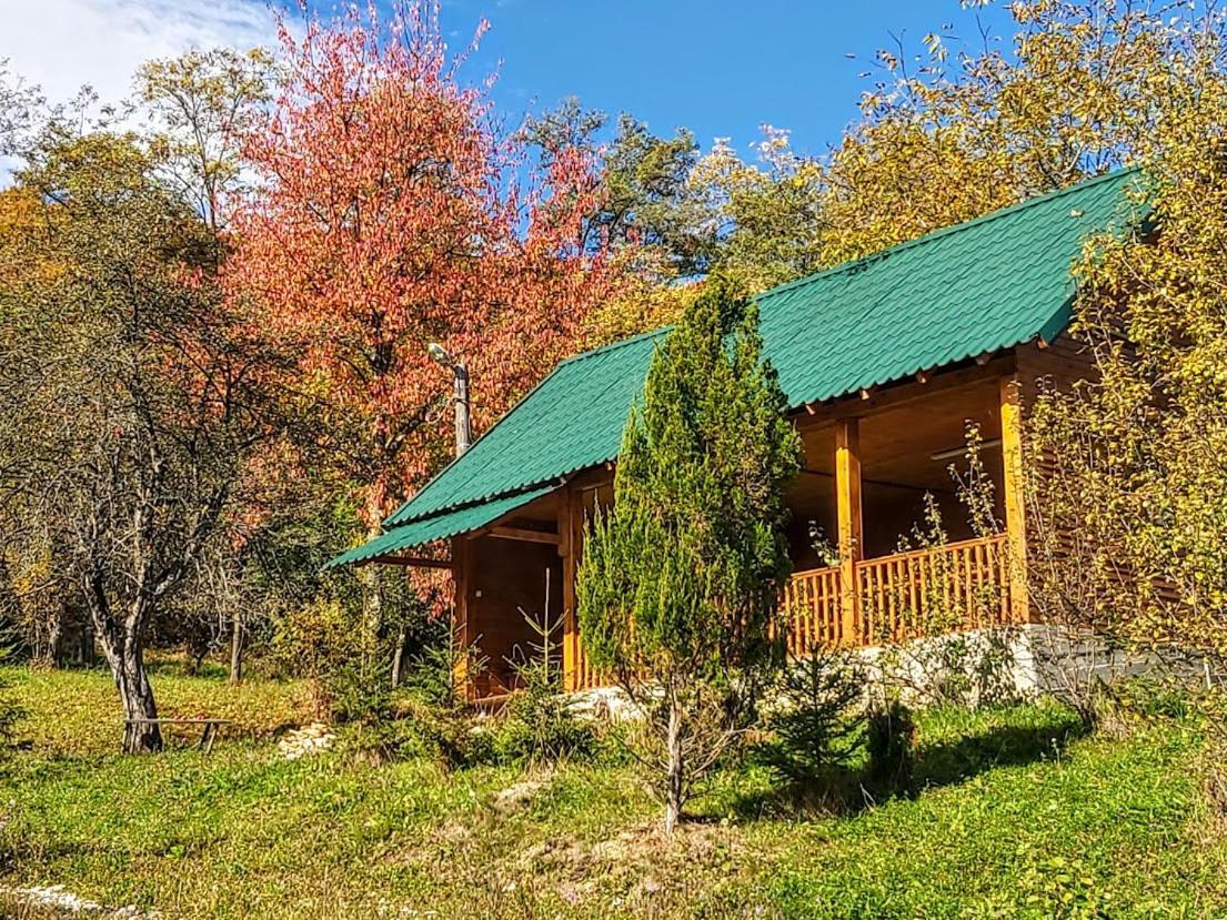 Pensiunea Agroturistica Piscul Soarelui Campulung Exterior photo