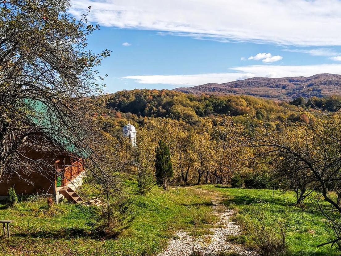 Pensiunea Agroturistica Piscul Soarelui Campulung Exterior photo