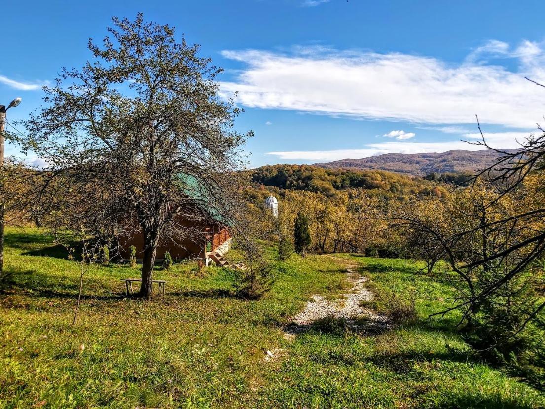 Pensiunea Agroturistica Piscul Soarelui Campulung Exterior photo